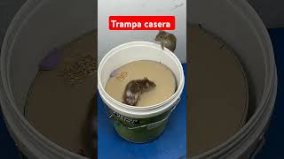 😱⚠️Trampa casera para ratas Part #1 /Homemade Rat Trap Part #1