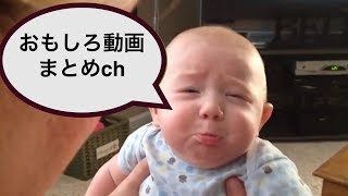 【爆笑】デブはなぜいつも転ぶのか【面白】