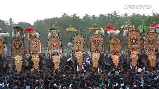 parkkadi Pooram 2019 Elephants