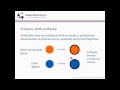 Immunoassay Optimization Webinar: Maximizing immunoassay sensitivity with smart conjugate design