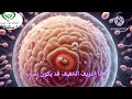 هل تاتي الدورة الشهرية اثناء الحمل في الشهر الاول هل من الممكن ان تاتي الدورة وانا حامل