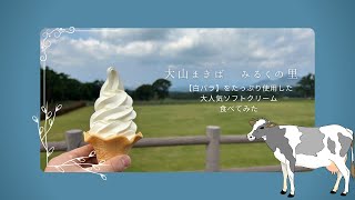 白バラをたっぷり使った大人気ソフトクリームクリーム！！大山まきば　みるくの里に行ってきた