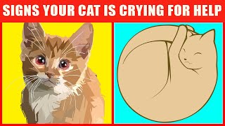 19 Warning Signs That Your Cat Is Begging For Help