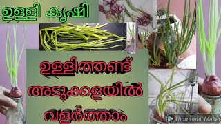 Grow SpringOnions in your Kitchen👍ഉള്ളിത്തണ്ട് ഇനി അടുക്കളയിൽ  വളർത്താം👍 ഉള്ളിക്കൃഷി ഇനി വീട്ടിൽ👍