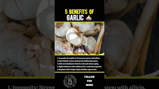 5 Benefits of Garlic 🧄 | Garlic Benefits