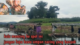 Ikan Di Spot Ini Dominan Makan Umpan Cacing