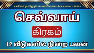 செவ்வாய் 12 வீடுகளில் நின்ற பலன்கள் #astro #tamil #astrologytamillearning #astrology #zodiacsign