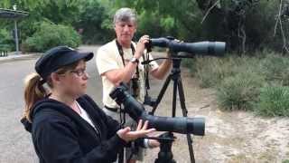 Birding and Digiscoping in the Rio Grande Valley