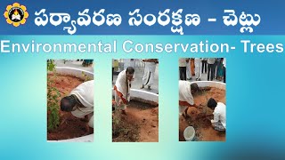 Srimad Bhagavatam Environmental Conservation- Trees