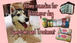 Home Remedies for Distemper Dog |Symptoms and Treatment