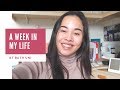 Week in my life at the University of Bath