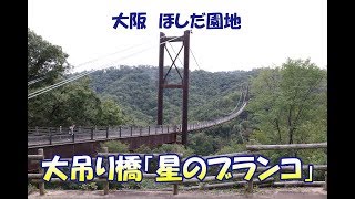 【大阪】ほしだ園地　大吊り橋「星のブランコ」