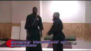 Ninjutsu Concepts against the "knock out game"