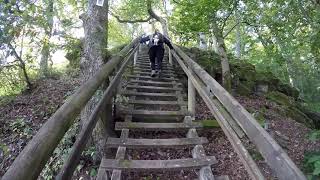 Wanderung - Traumschleife Rockenburger Urwaldpfad