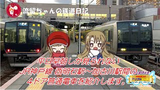 平日早朝しか見られない JR神戸線 西明石駅～加古川駅間の４ドア普通電車を紹介します。(流留ちゃんの鉄道日記1)