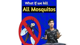 What If we kill All Mosquitoes 😱