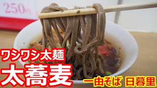 【一由そば】ワシワシ太蕎麦！うどんと違った絶妙な食感硬さ太さの太蕎麦が旨い！太蕎麦 スーパージャンボゲソ天 紅ショウガ天 一由 日暮里【蕎麦】#soba