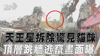 天王星拆除驚見貓咪身影　頂層「跳牆逃竄」畫面曝｜TVBS新聞@TVBSNEWS01