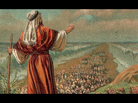 Pearls Of The Torah: Parashat Beshalach - The Torah Given To Moses And ...