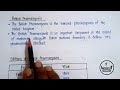 pharmacopoeia indian pharmacopoeia british pharmacopoeia pharmaceutics b pharma first sem