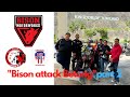 bison attack betong part 2 - Diy joekey