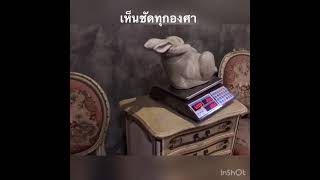 แนะนำเครื่องชั่งดิจิตอล คำนวณราคา SUNFORD รุ่น ACS 30 JE21   YouTube 2