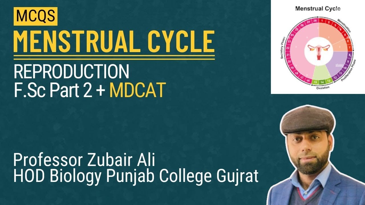 MCQs Of Menstrual Cycle|MDCAT|Zubair Ali HoD PGC Gujrat| - YouTube