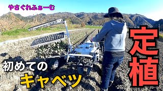 【野菜作り】ヤンマー野菜移植機PN1Wでキャベツ定植【やさぐれふあーむ】