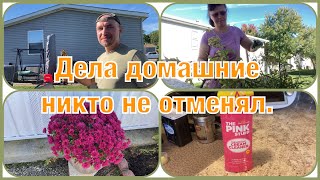 🇺🇸VLOG. Опустел мой огород/Новая осенняя посуда/Цветочное пополнение/Испытываю чистящее средство.