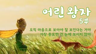 [어린 왕자 5부☆°] 네 장미꽃이 그토록 소중하게 된 것은 네가 네 장미꽃을 위해서 소비한 시간 때문이야, 네가 길들인 것에 대해서 너는 책임이 있어 ❀