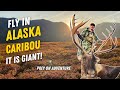 DREAM BULL!! - Alaskan Mountain Caribou Hunt - with PREY ON ADVENTURE