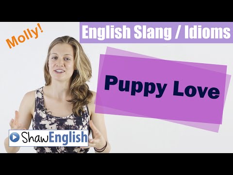 What is the meaning of puppy love?