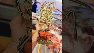 OMANI  seafood|Lobster| OMANI Lobster #seafood #lobster #shortsvideo #ytshorts