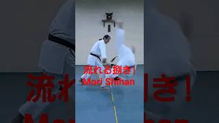 Mori Shihan「巨漢を流れるように捌く！」森道治師範 八段 [ The Power of Aikido ] Aikido Yoshinkan Brisbane Dojo 合氣道養神館豪州道場