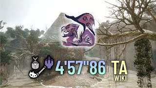 MH: Rise | The Graceful Apex Rathian TA Wiki 4'57\