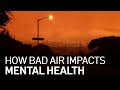 Poor Air Quality Affects Physical, Mental Health