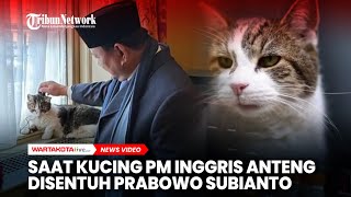 Saat Kucing Perdana Menteri Inggris Anteng Disentuh Prabowo Subianto