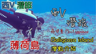 西V濳旅：世界知名潛點Balicasag island潛點介紹！