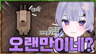 염소 이ㅅㄲ 내 성격 까먹었나보네?