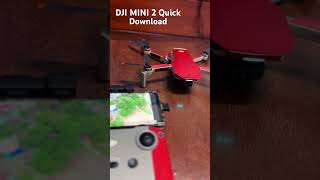 DJI Mini 2 | Quick Download Mode #shorts #djimini2