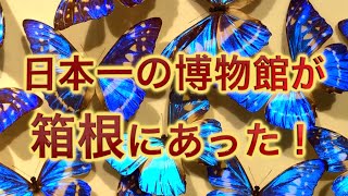 【日本一の博物館】神奈川県立生命の星・地球博物館が想像以上に凄かったので２分でどんな所か解説します！