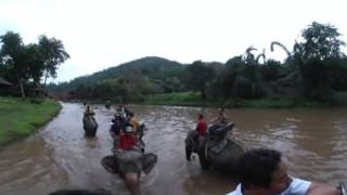 [360VR] 태국  '치앙마이 매땡 코끼리 공원 (Thailand Chiang Mai Mae Taeng Elephant Park)'