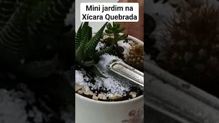 Mini Jardim na #Xícara Quebrada #diy