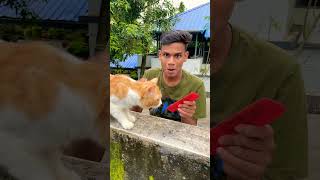 ഇത് പൂച്ച തന്നെ ആണോ😂|Cat funny Reaction🤩|#catlover #pets #shorts