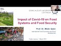 Impact of COVID-19 on Food Systems and Food Security – Prof. Dr. Matin Qaim