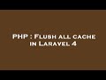 PHP : Flush all cache in Laravel 4