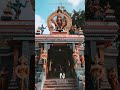 major vellayani devi temple thiruvananthapuram thiruvananthapuram vellayaniamma utsavam