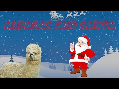 Christmas Alpaca Adventure!! Christmas Alpaca Adventure!!