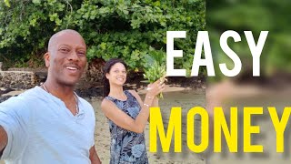 Easiest States to Become a Notary & Start a Notary Business (No Test Required?)