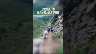 白鹿在真好看和不能看之间反复横跳 #奔跑吧茶马古道篇